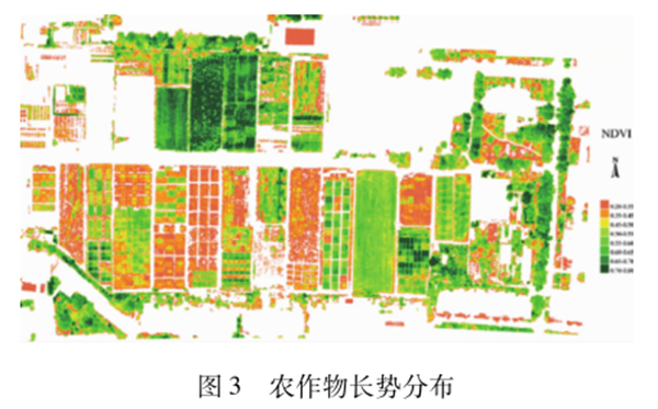 圖3 農作物長勢分布