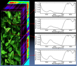 高光譜成像光譜儀的應用