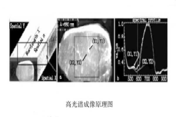 高光譜成像原理