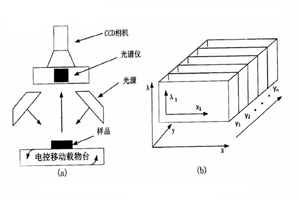 基于光譜儀的高光譜圖像系統圖和此系統下獲得的圖像數據示意圖