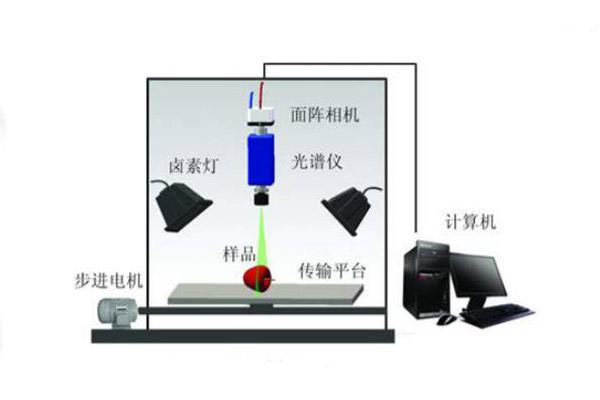 高光譜成像系統(tǒng)的結構示意圖