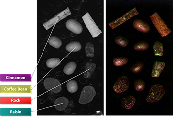 Teledyne Imaging 等短波紅外相機可以幫助檢測食品分選應(yīng)用中的水分。