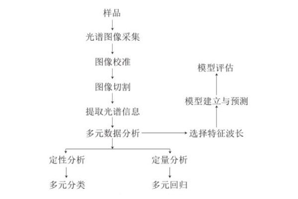 高光譜成像技術定性定量判別流程01