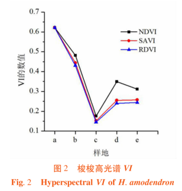 高光譜遙感在荒漠林植被指數（VI）比較中的應2