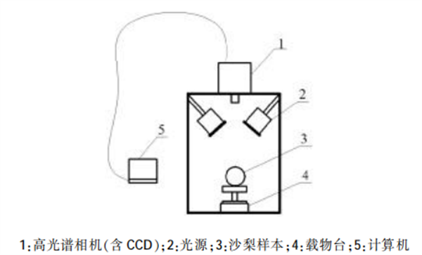 高光譜圖像技術(shù)在沙梨無損檢測中的應(yīng)用