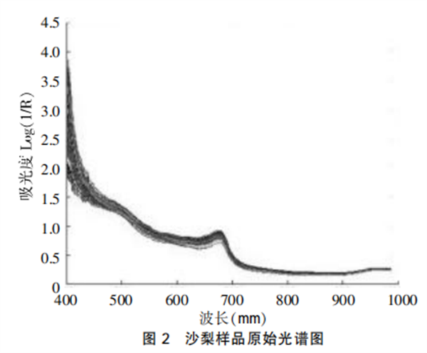 高光譜圖像技術(shù)在沙梨無損檢測中的應(yīng)用2