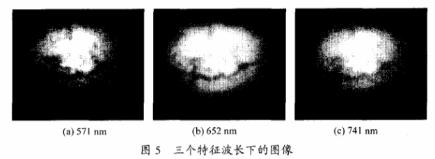 高光譜成像技術檢測柑橘果銹5